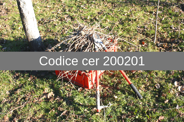 Codice-cer-200201