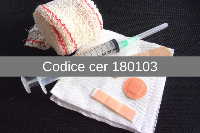 Codice Cer 180103